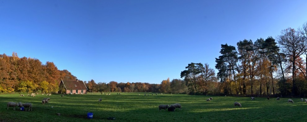 Holterberg_twents_landschap.jpg